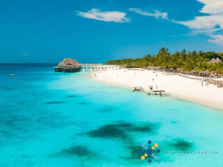 Crypto fund manager probed in the suspicious death of his fiancé’s death in Zanzibar