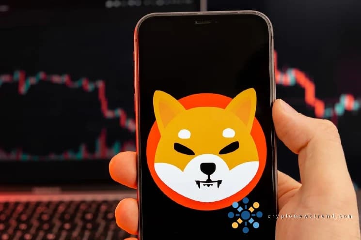 Menos de mil millones de Shiba Inu (SHIB) en 24 horas: las salidas de capital caen en picado