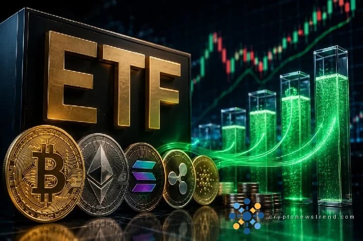 流入 ETF 推动了加密货币收益——为什么？
