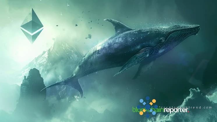 Ethereum Whale pide prestado $8 millones a Aave para impulsar las tenencias de $ETH