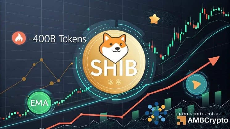 Las entradas de Shiba Inu caen en 400 mil millones SHIB: ¿Es posible una ruptura?