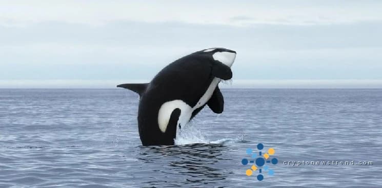 Orca Unveils Innovative Platform for Trading Digitized Traditional Investments on Solana Network
