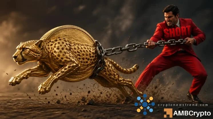 DEXE: قیمت $12.8 کے قریب ہونے پر مختصر دباؤ بڑھتا ہے - اب کیا ہوگا؟