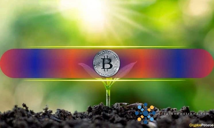 تسحب Bitcoin 706 مليون دولار مع تخلي المتداولين عن مراكز البيع في تحول هائل في المعنويات