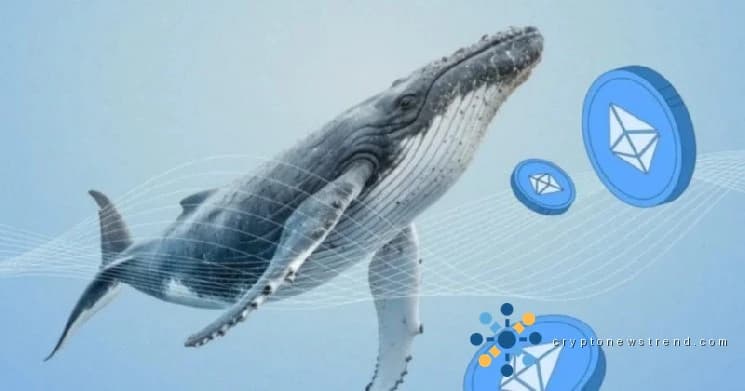 Whale 对以太坊开启了 1 亿美元的看跌押注