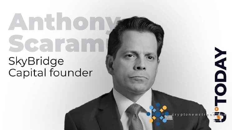 Scaramucci fordert die Krypto-Community auf, sich über 72.000 US-Dollar keine Sorgen zu machen