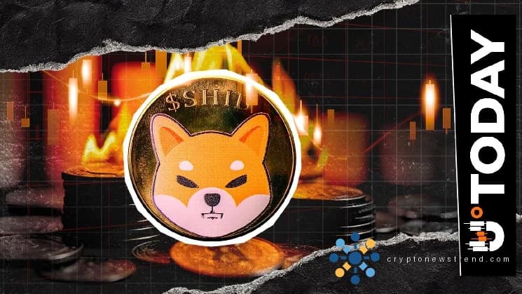 1,535,066 只柴犬被烧毁，柴犬烧毁率下降 43%
