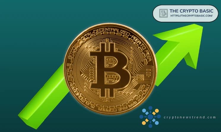 Bitcoin Network Growth Rebounding Fast, Hinting at End of Local Bottom: Glassnode