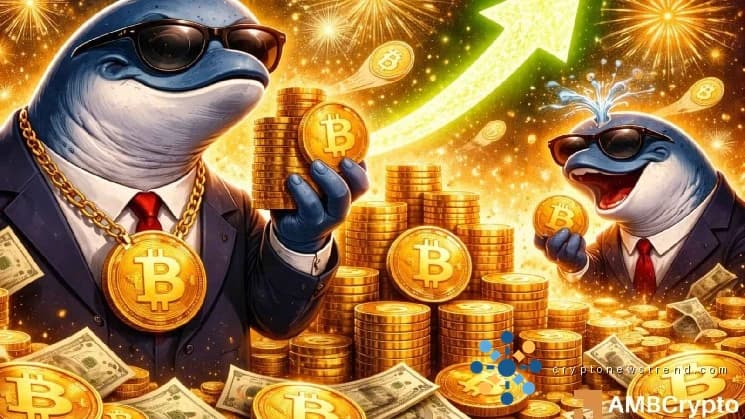 Éxodo masivo de criptomonedas de 120 millones de dólares: ¿Impulsará el ascenso de Bitcoin al hito de los 80.000 dólares?