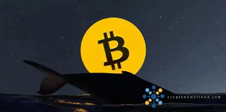 Investment Landscape Shifts as Low-Volume Traders Capitalize on Market Swings, Leaving Analysts Wondering About the Cryptocurrency's Future Trajectory
