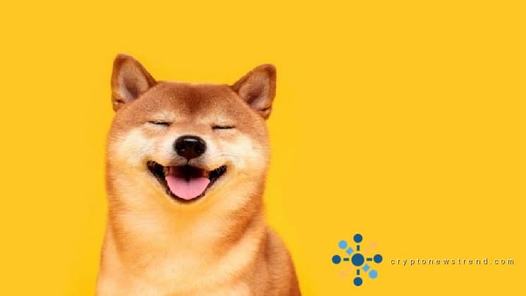 Dogecoin 10% زوم کرتا ہے، بٹ کوائن سے الگ ہو کر کھلی دلچسپی سالانہ عروج پر ہوتی ہے