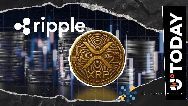 XRP تواجه العصر الكمي: رئيس أبحاث Ripple يفك شفرة الموعد النهائي للهجرة لعام 2029 من Google