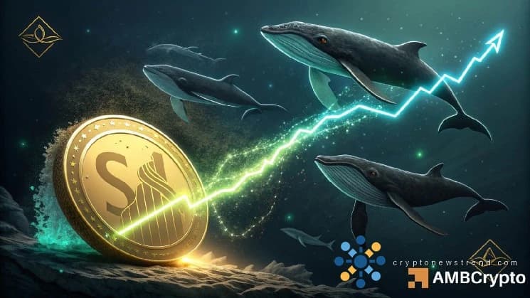 SEI sube un 15%: evaluando si el aumento de la actividad de las ballenas podría elevar el precio a 0,08 dólares