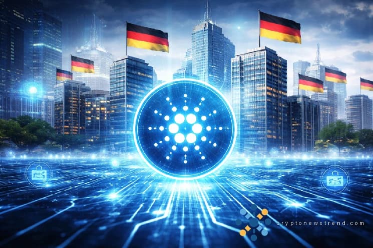 يقول الرئيس التنفيذي للمؤسسة إن كاردانو تعمل بالفعل خلف 200 شركة ألمانية