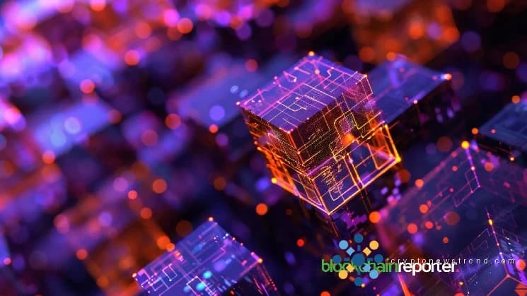 Volo и Dow Protocol впервые внедряют финансирование продавцов электронной коммерции в цепочке