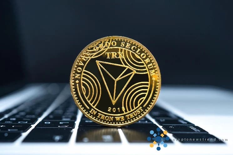 Tron Holds Nearly Half USDT as Washington Falls Short