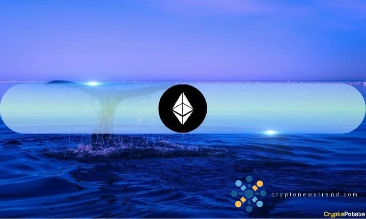 Las carteras más grandes de Ethereum ahora controlan más del 22% del suministro en medio de una nueva ola de acumulación