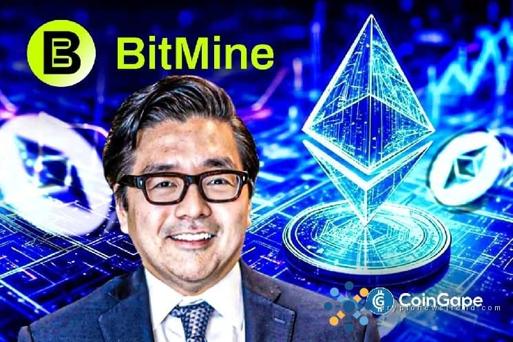 تتطلع أسهم BMNR إلى الانتعاش حيث تعزز عمليات إعادة شراء الأسهم بنسبة 300٪ لتصل إلى 4 مليارات دولار