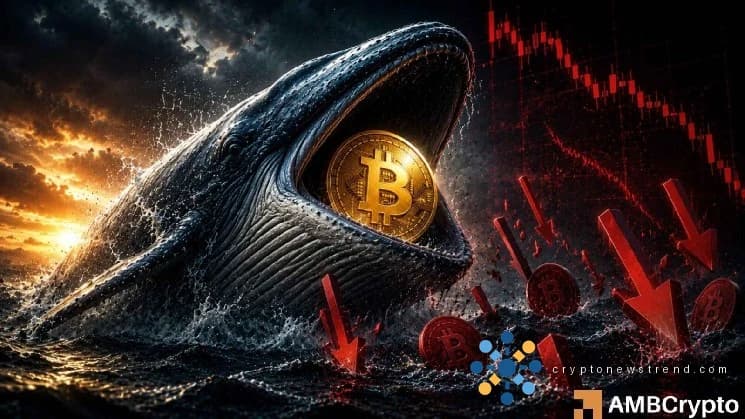 Биткойн-кит покупает 66 миллионов долларов при падении – может ли BTC вернуть 78 тысяч долларов?