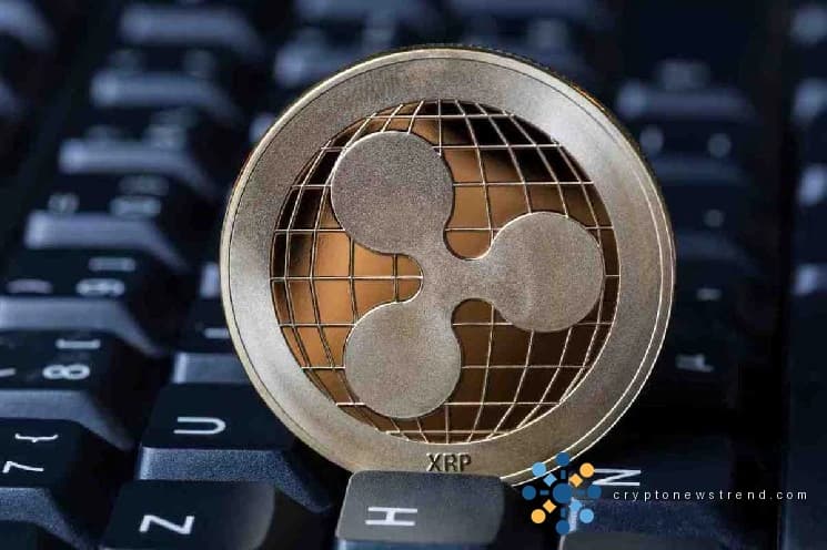 Les experts s'expriment : les perspectives des jetons de Ripple pour début mai révélées