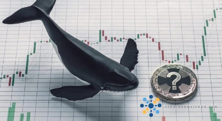 ظهور علامات تحذيرية في الوقت الذي تدفع فيه الطفرة الغامضة العملة المشفرة غير المعروفة إلى ارتفاعات مذهلة