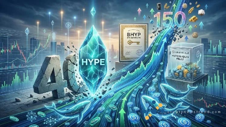 超流动性看涨情绪再次高涨——是什么推动了新的势头？