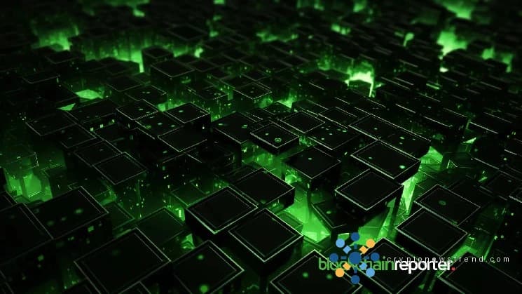 MetaOne Taps Fomoin to Broaden Web3 Gaming Network and Alpha Access