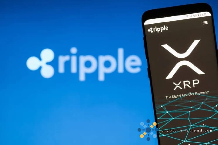 Доверие PayPal ставит XRP на первое место, говорит генеральный директор Evernorth