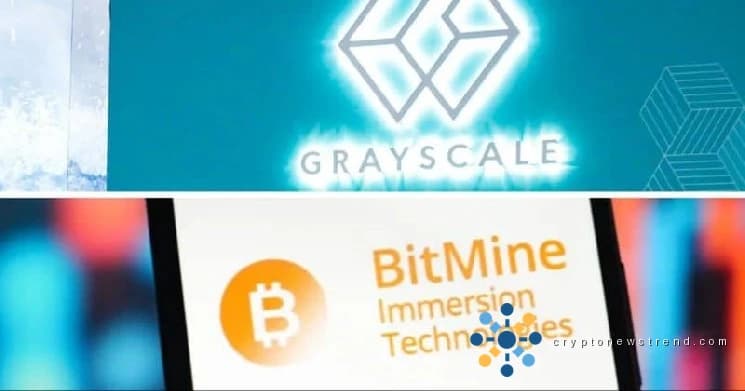 Grayscale y Bitmine invierten casi 500 millones de dólares en Ethereum: datos en cadena