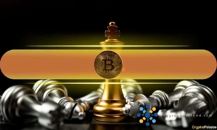 Cómo Bitcoin superó a ETH, XRP, BNB y SOL durante el estrés del mercado 2025-2026