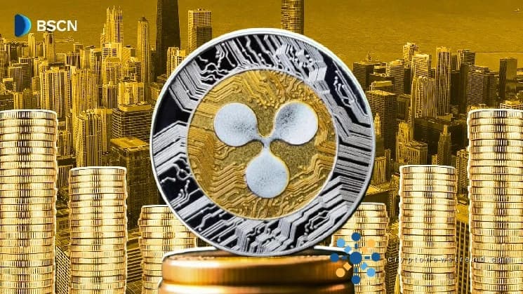 Unpacking the Value of Ripple's US Dollar-Pegged Cryptocurrency within the Broader XRP Network.