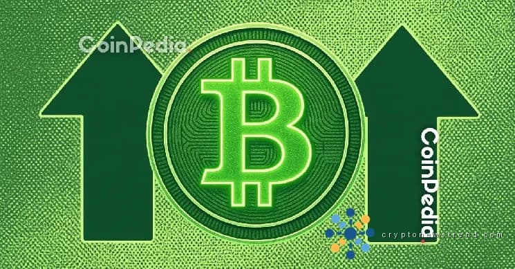比特币突破 100 万美元的牛市和熊市案例：亿万富翁们说得对吗？