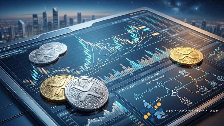 XRP-Wale werden beschuldigt, während einer massiven Marktbewegung die Liquidität manipuliert zu haben