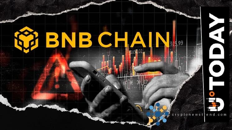 BNB 链表现优于 DOGE、XRP，持仓量激增 35%