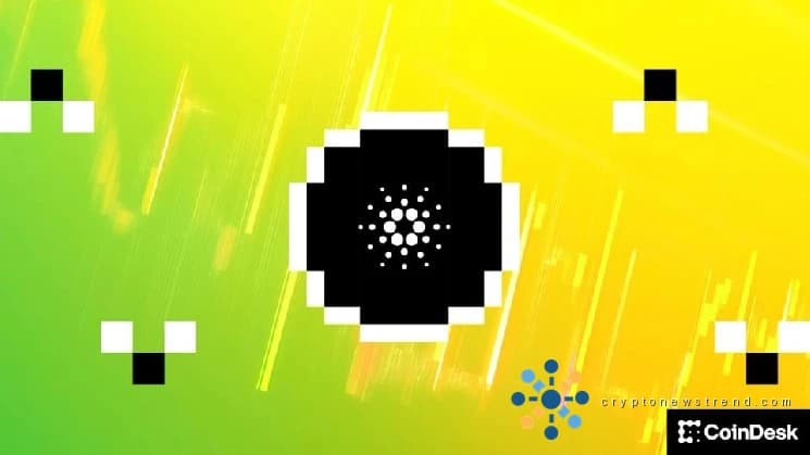 Die soziale Aktivität von Cardano nimmt zu, da ADA unter 20 Cent auf den niedrigsten Stand seit vier Jahren fällt