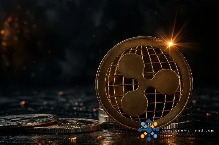 L'efficacité des investissements de Ripple augmente : dévoiler les implications d'une mesure de rendement ajustée au risque en plein essor