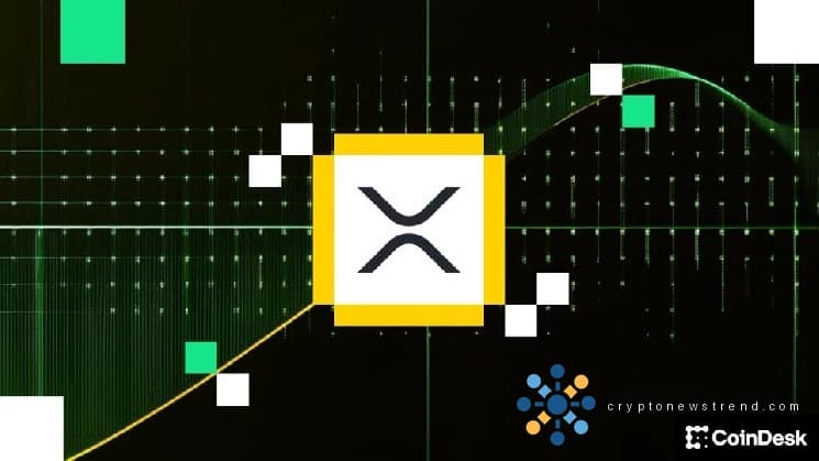 Spot XRP ETFs جنوری کے بعد سب سے زیادہ آمد کو اپنی طرف متوجہ کرتا ہے۔