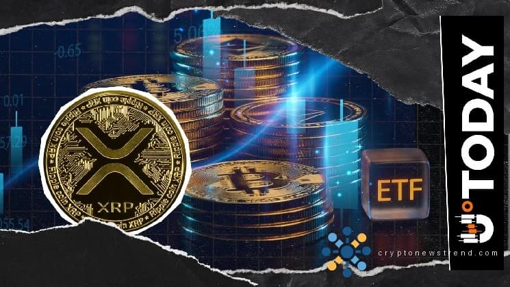 Bitwise нарушает молчание XRP ETF, поскольку цена борется с критическим 200-недельным средним значением по сравнению с биткойнами