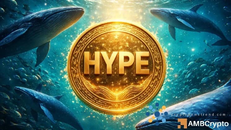 Гипержидкость становится нестабильной по мере вращения китов: может ли HYPE остановить падение с 35 долларов?