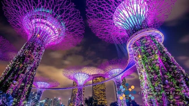 أطلق بنك سنغافورة والخليج خدمة Stablecoin