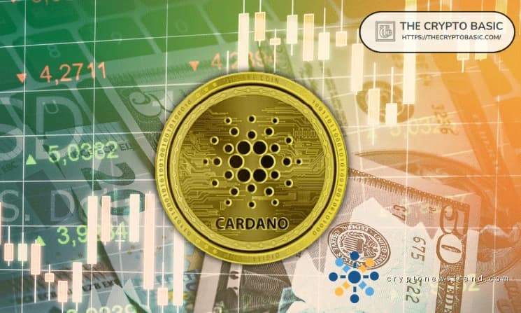 Validation Activity Propels Cardano to Number Two Spot Among Leading Layer-One Networks