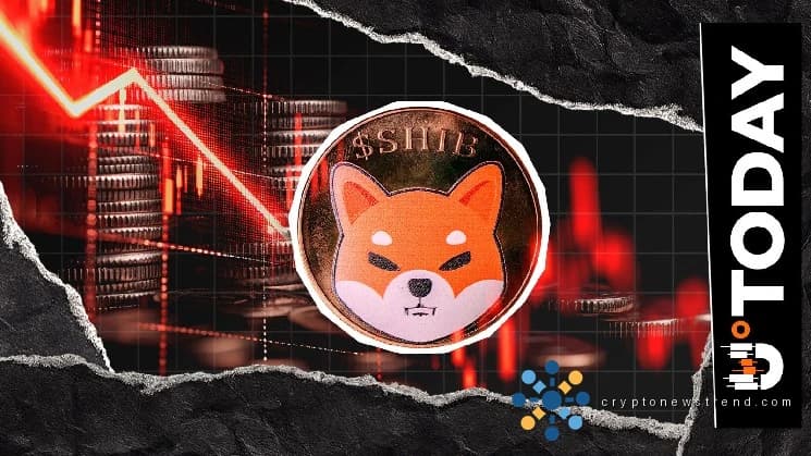 -228 Billion SHIB: Shiba Inu Coin Supply on Exchange Continues to Squeeze