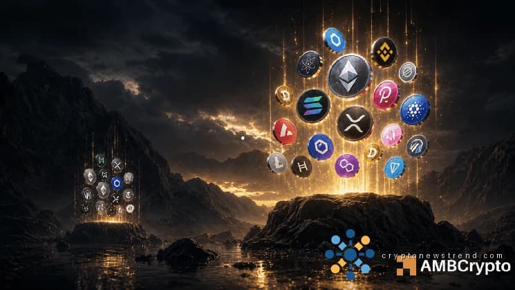 Cryptocurrency market tracker flashes bullish signal, expert forecasts substantial altcoin price surge.