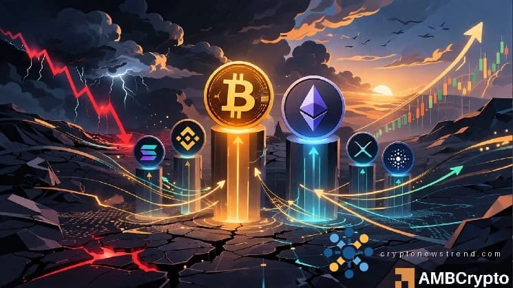 活动激增正在促进美国加密货币库存的交易。