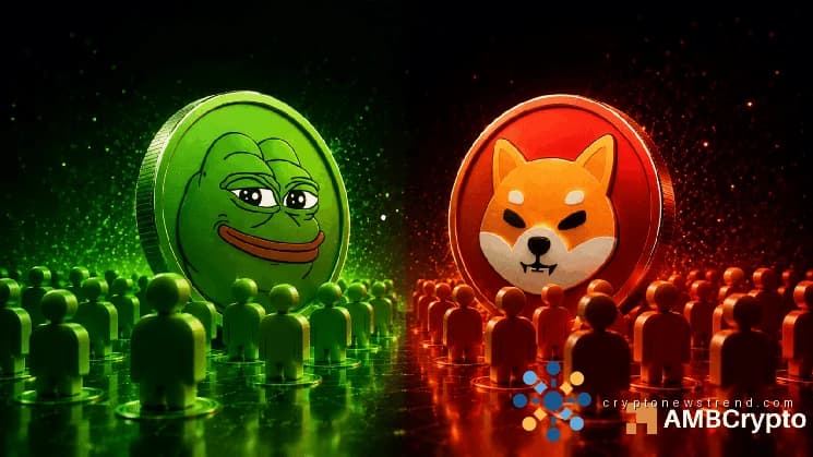 持有人的增长提振了 PEPE 和 SHIB 的情绪 – 如果……未来还会有更多收益