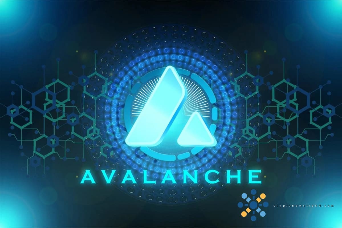 W3.io 在 Avalanche 上推出代理财务控制平台