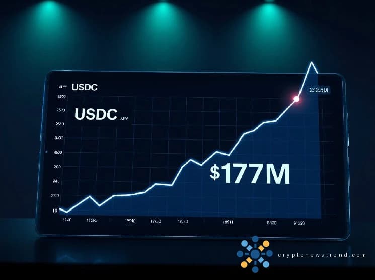 La entrada neta diaria hiperlíquida del USDC alcanza el máximo de 10 meses y supera los 173 millones de dólares
