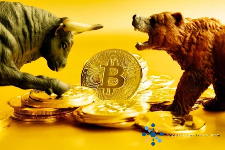 44 % der Bitcoin-Investorenpositionen schreiben rote Zahlen: Woher wissen wir, wann der Bärenmarkt vorbei ist?