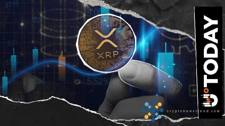 XRP تشهد ارتفاعًا هائلاً بنسبة 83٪ في حيازات العقود الآجلة، وهو مؤشر دقيق لكنه معبر