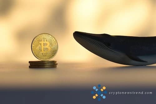 Les baleines Bitcoin se lancent dans une frénésie d'achat, déclenchant une compression de l'offre